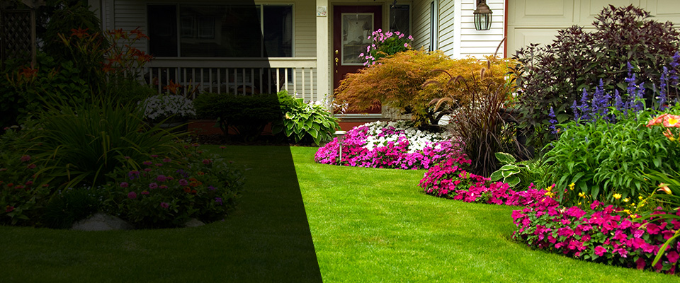 Walker Landscapers